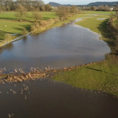mill brook 3