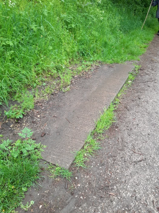 missing canal bench