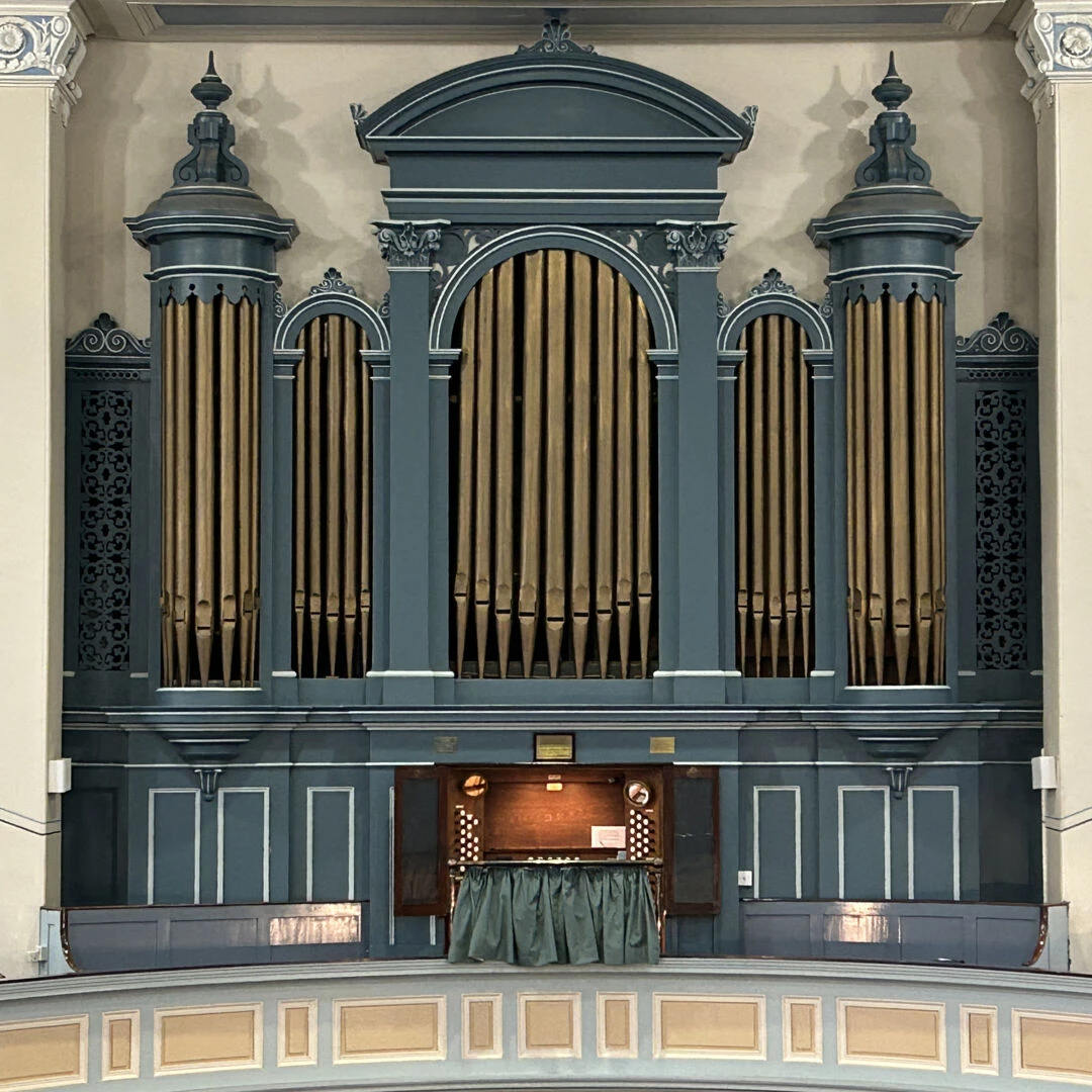 mor organ
