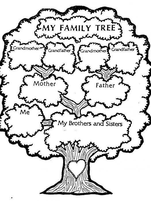 my-family-tree