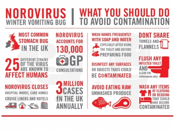 norovirus poster