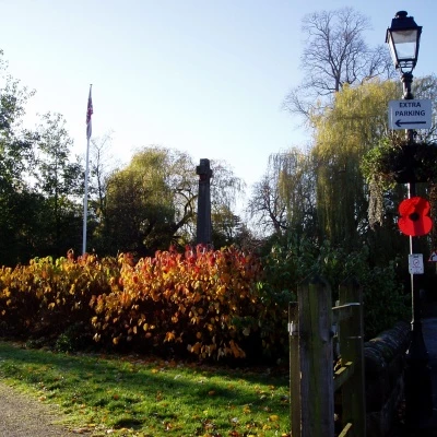 november sunshine 2