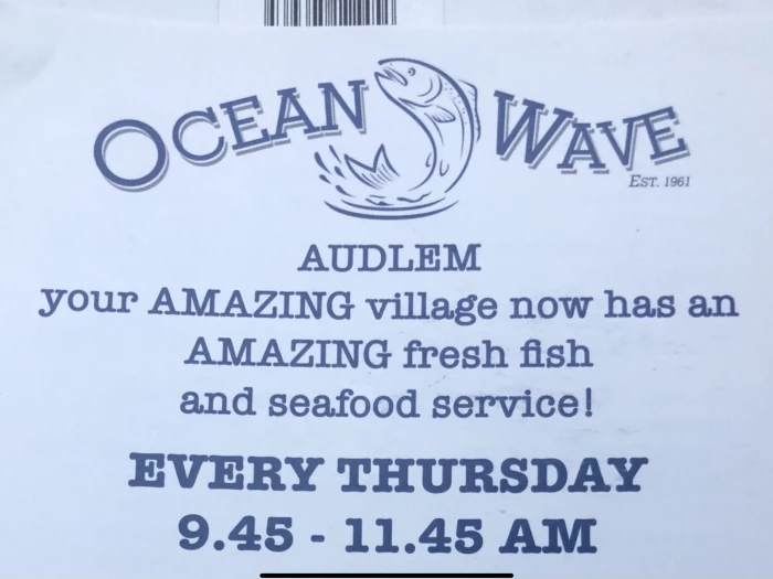 ocean wave fresh fish