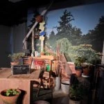 old herbaceous 011