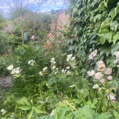 open garden weekend 2
