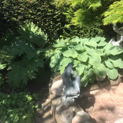 open gardens
