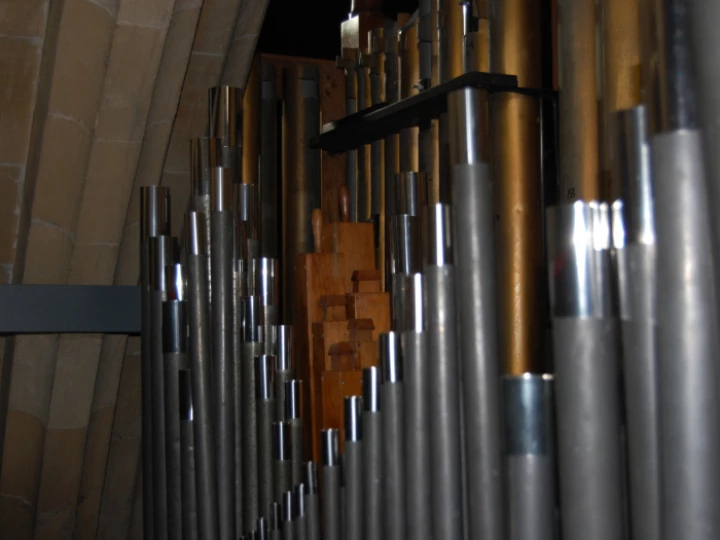 organ2