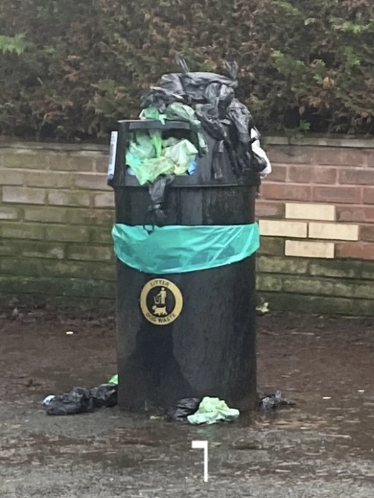 overflowing dog bin