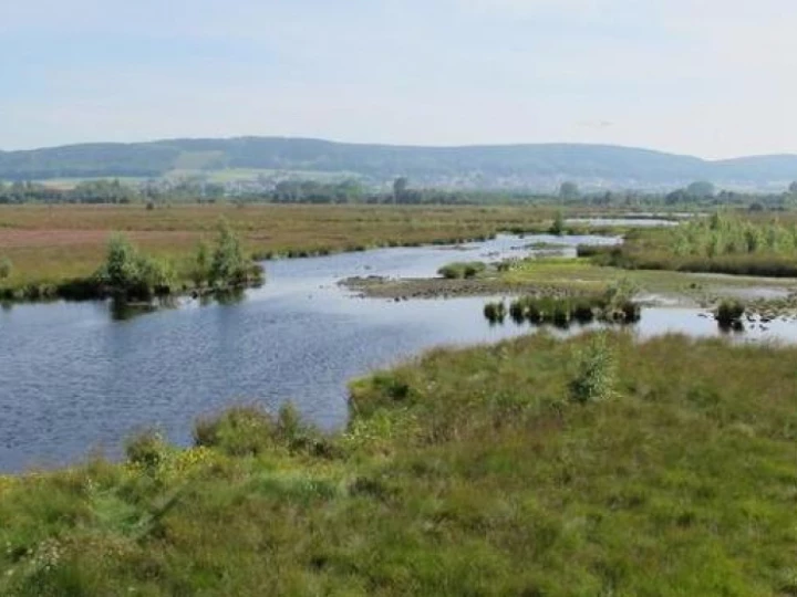 peatlands