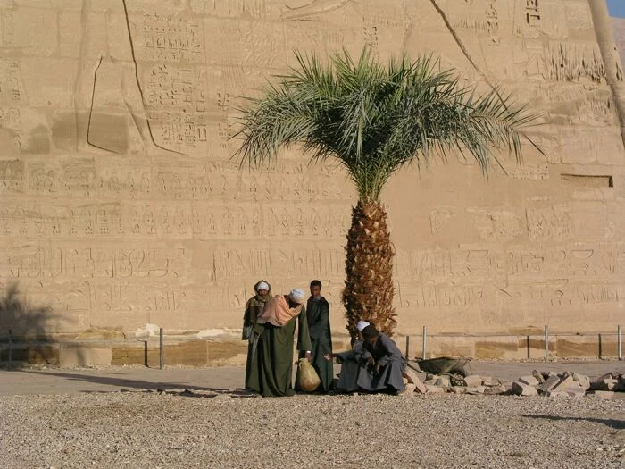 peple sitting under palm near ancient building with hieroglyphs
