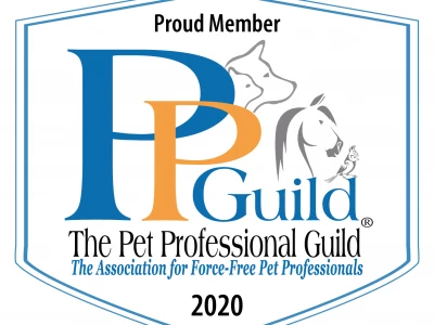 pet prof guild