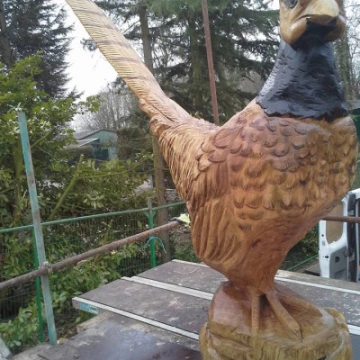 pheasantcarving