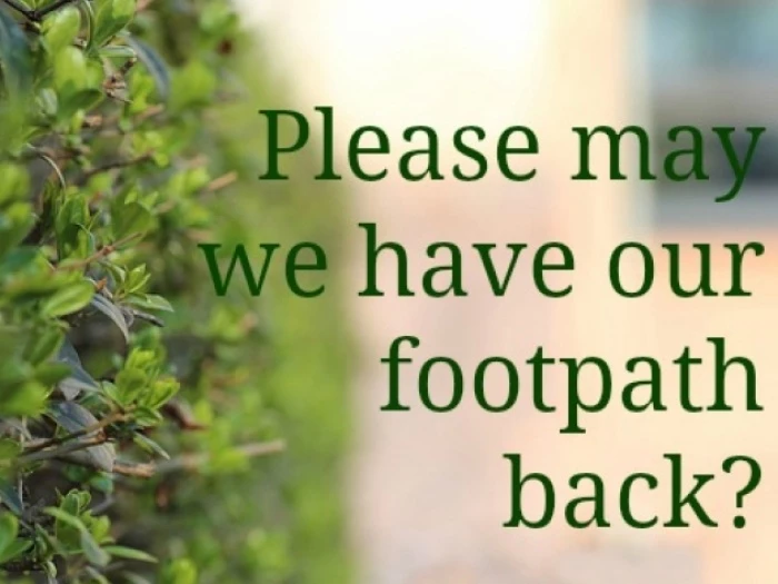 plant overhanging pavement
