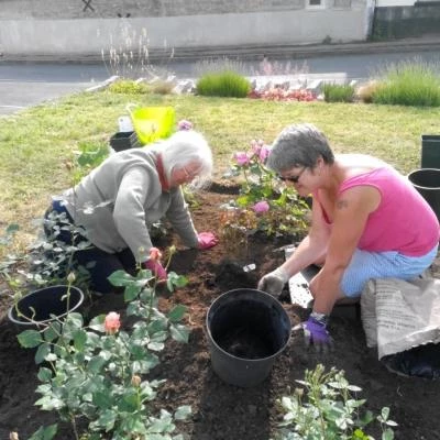 planting at madelaines 3rd june 2019 5