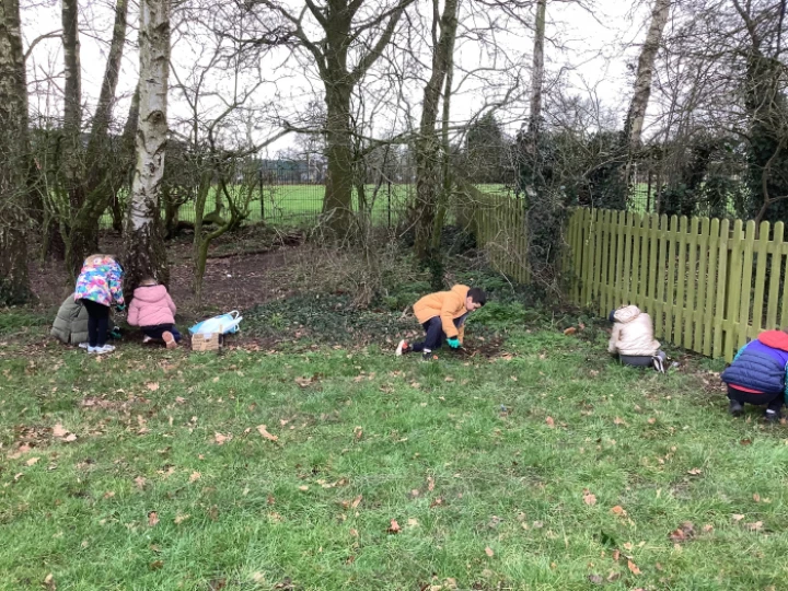planting