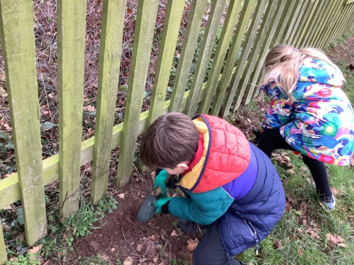 planting