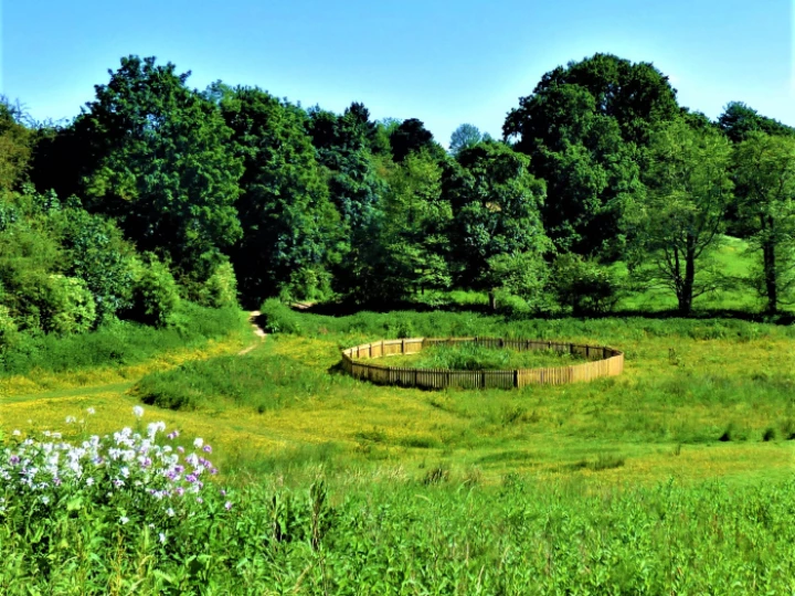 pond