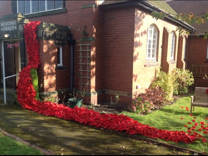 poppies at silkstone common