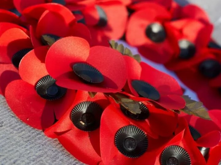 poppies