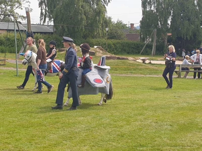 raf pony
