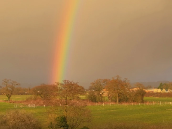rainbowjt0594