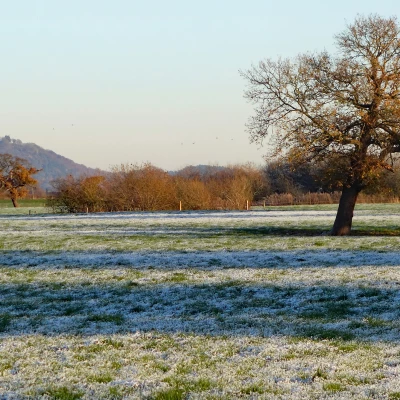 rbeeston castle01743