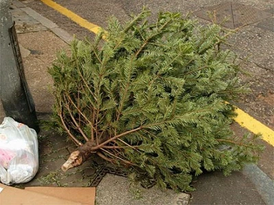 recycle-christmas-tree