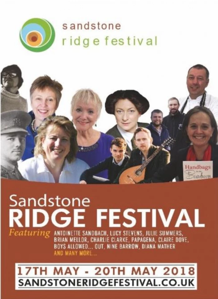 ridge festival poster