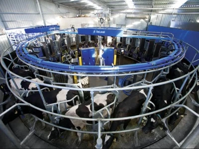 robot milking parlour
