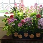 ryhill flower festival  10