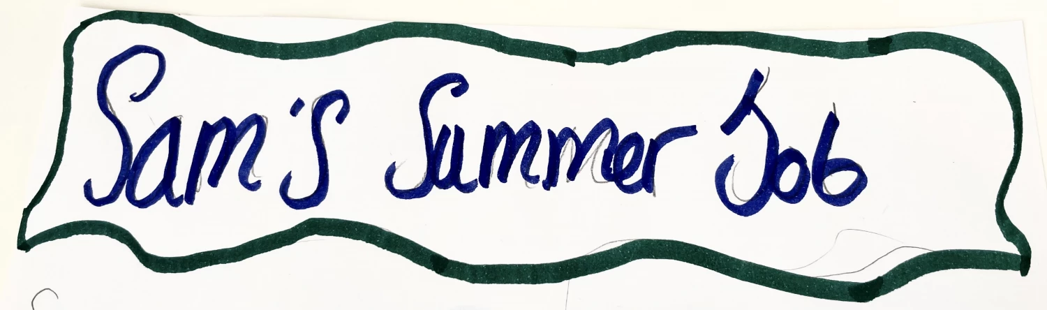 sam39s summer job