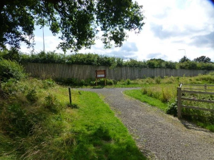 saxon heath woodland with notice board