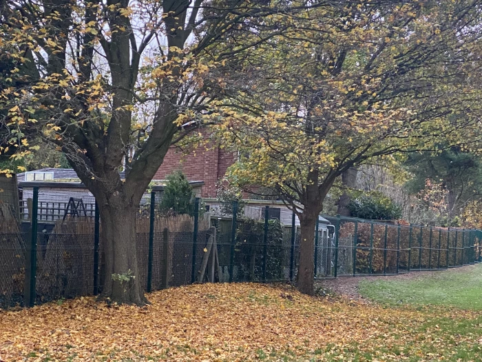 school fence