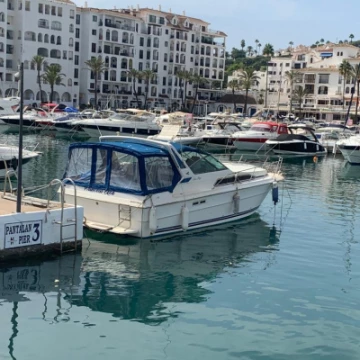 searay10