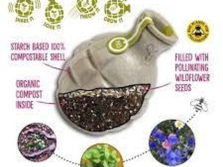 seedbom