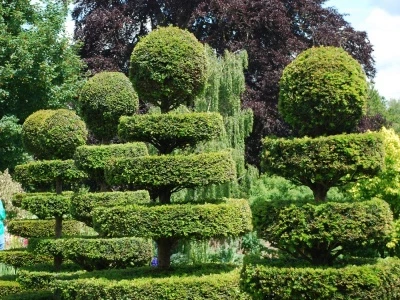 sibberscote manor 1
