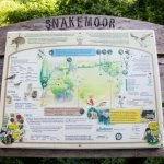 snakemoor 01