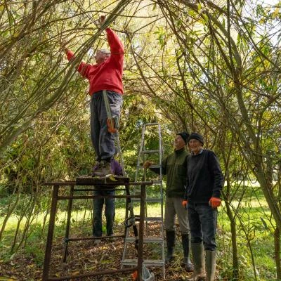 snakemoor work party oct 2019