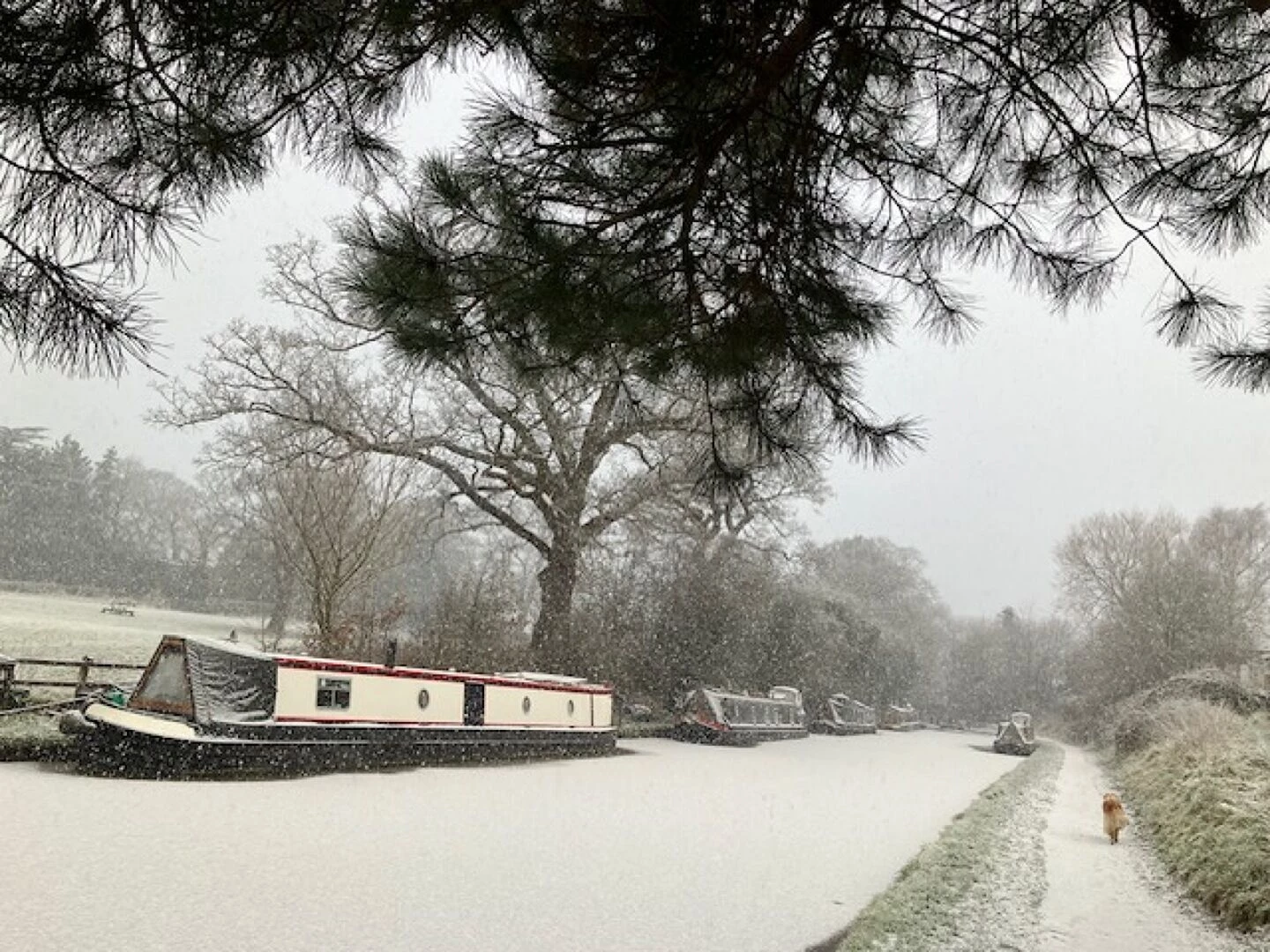 snow on the canal 2