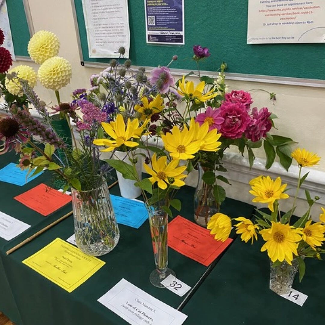 some of the flower exhibits