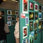 some of the photography section