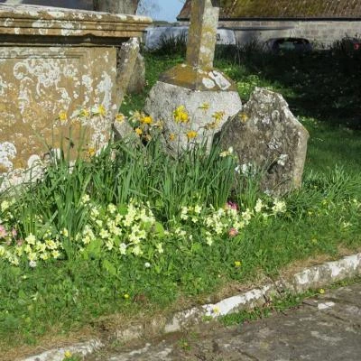 sping in the churchyard2