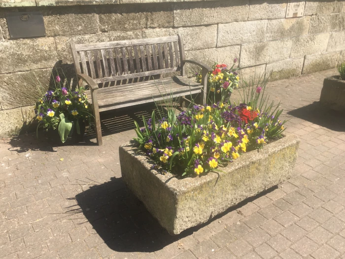 spring flowers by st james