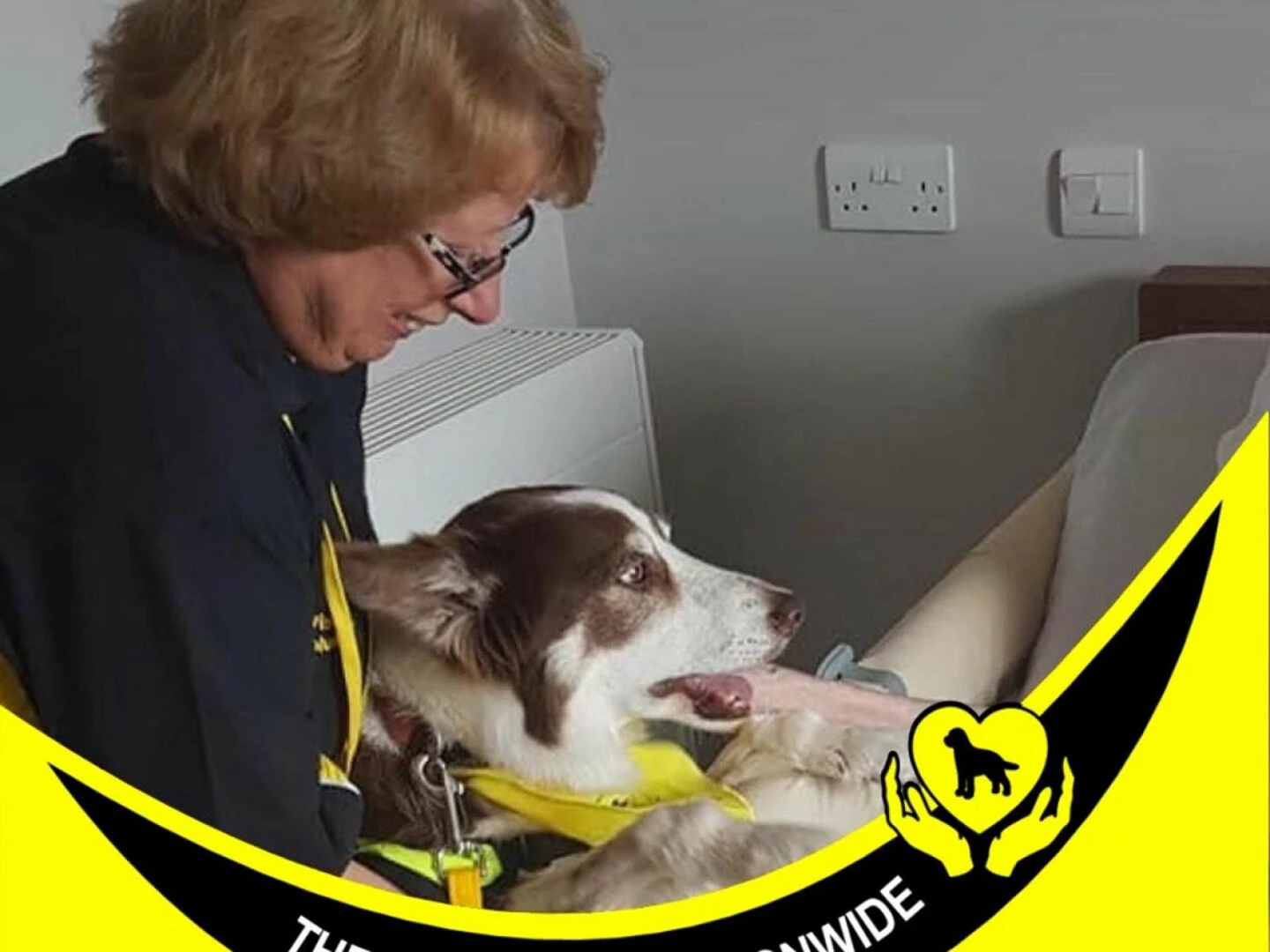 st andrews womens group  therapy dogs nov 2024