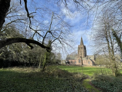 st john39s through the trees