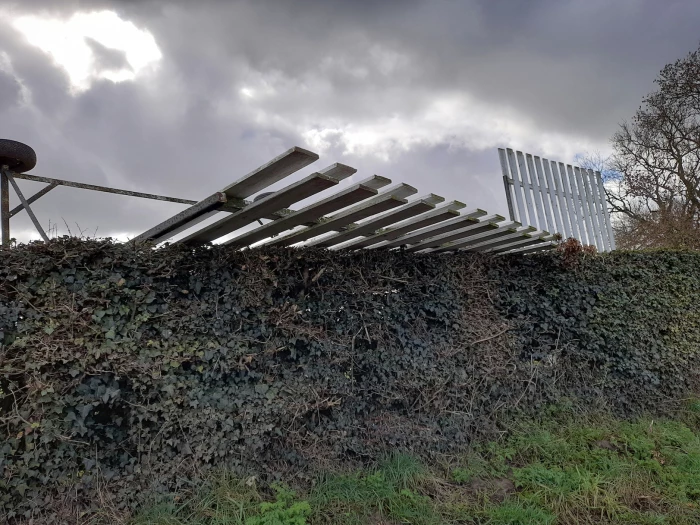 storm damage