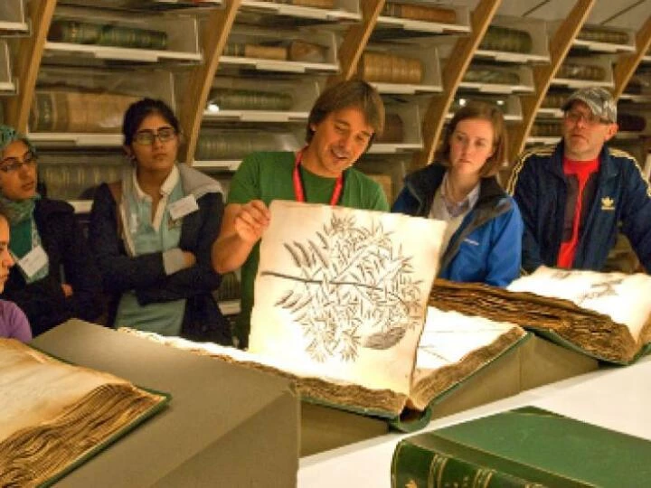 sunightleafingpast