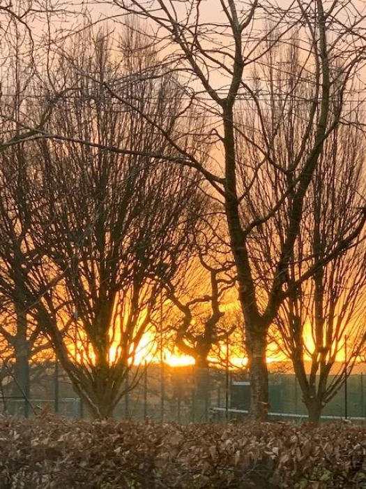 sunrise over flacca