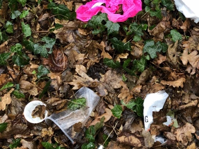 suspicious waste in woodlands