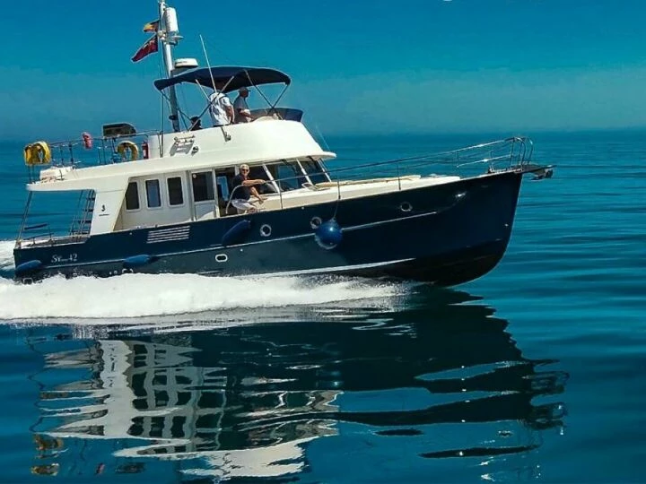 swift56